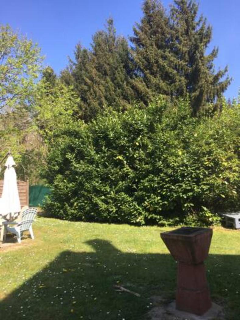 Gite Cosy Proche Fontainebleau Et Foret Noisy-sur-Ecole ภายนอก รูปภาพ